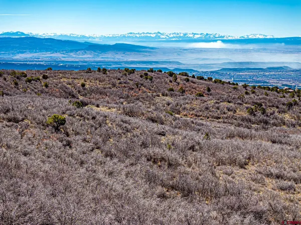 a view of an ocean beach