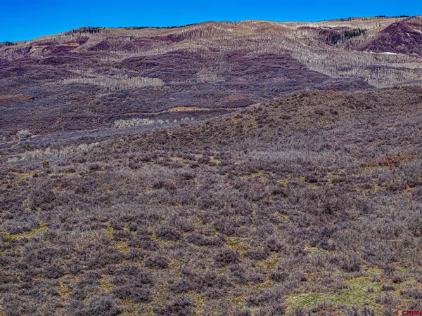 a view of a dry field