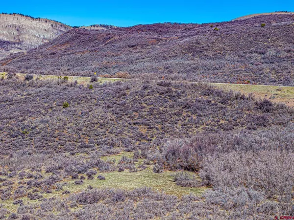 a view of a dry yard