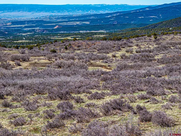 a view of a yard with an ocean view
