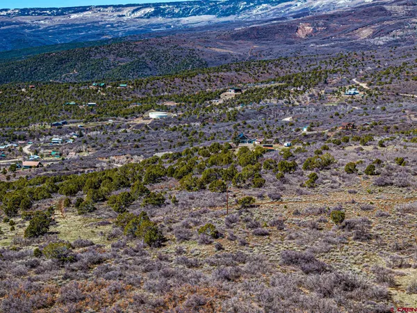 a view of a yard with an outdoor space