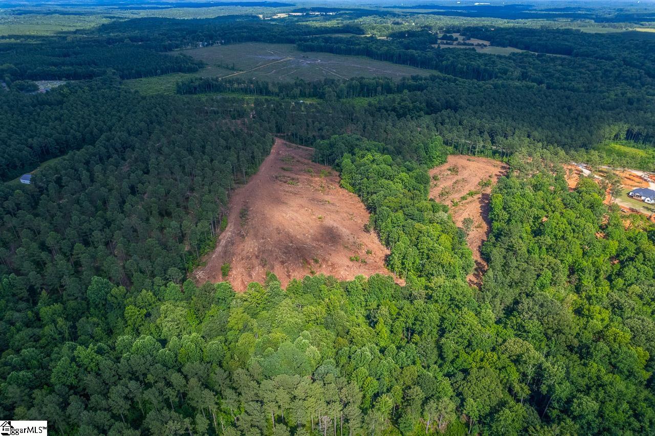 0 Greenville Church Road Donalds, SC 29638 - Photo 8 of 10