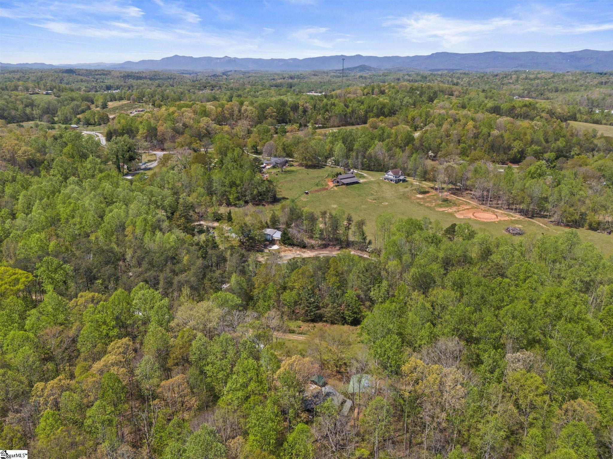 36 Key Hollow Lane Travelers Rest, SC 29690 - Photo 12 of 41