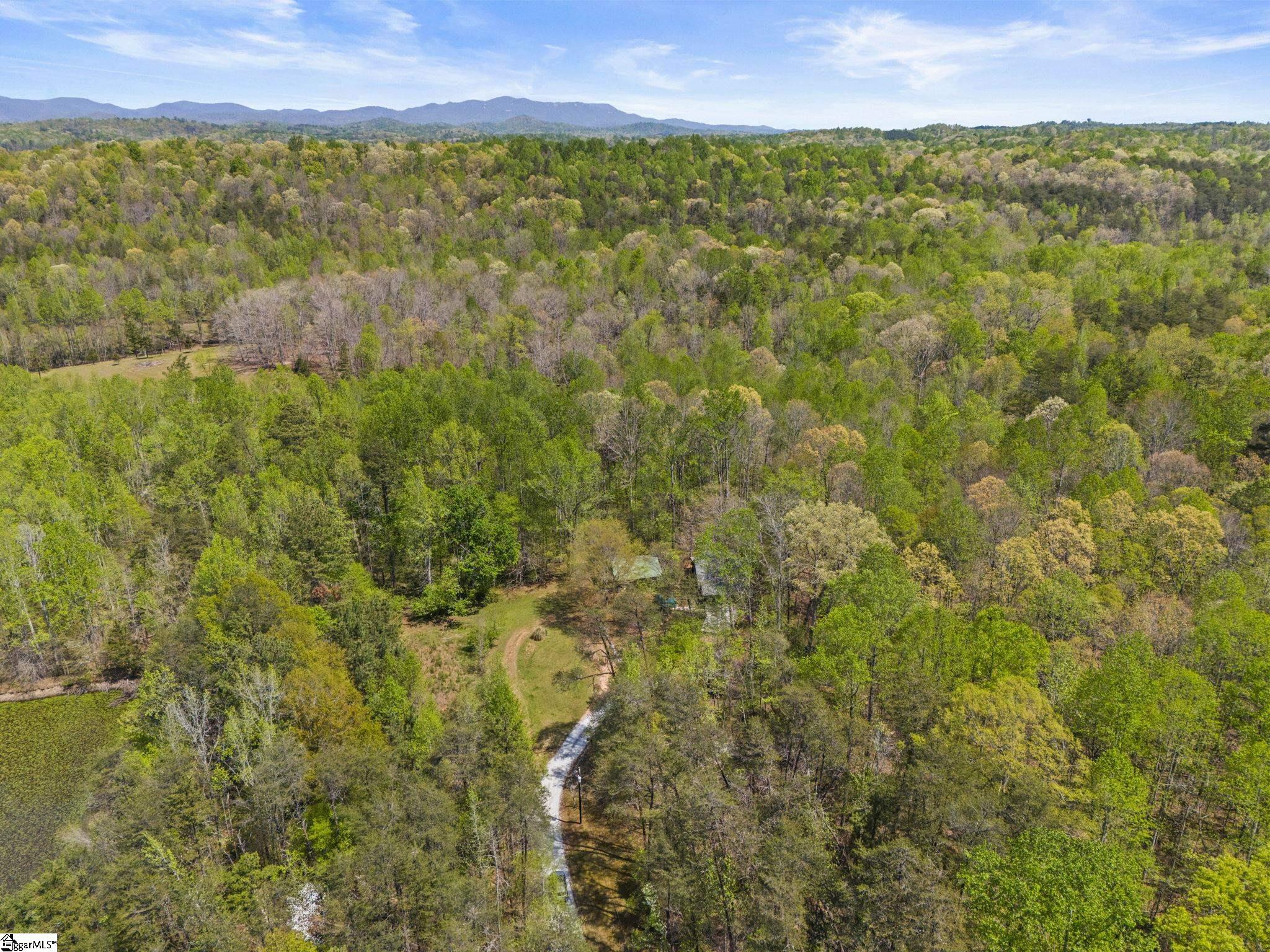 36 Key Hollow Lane Travelers Rest, SC 29690 - Photo 8 of 41