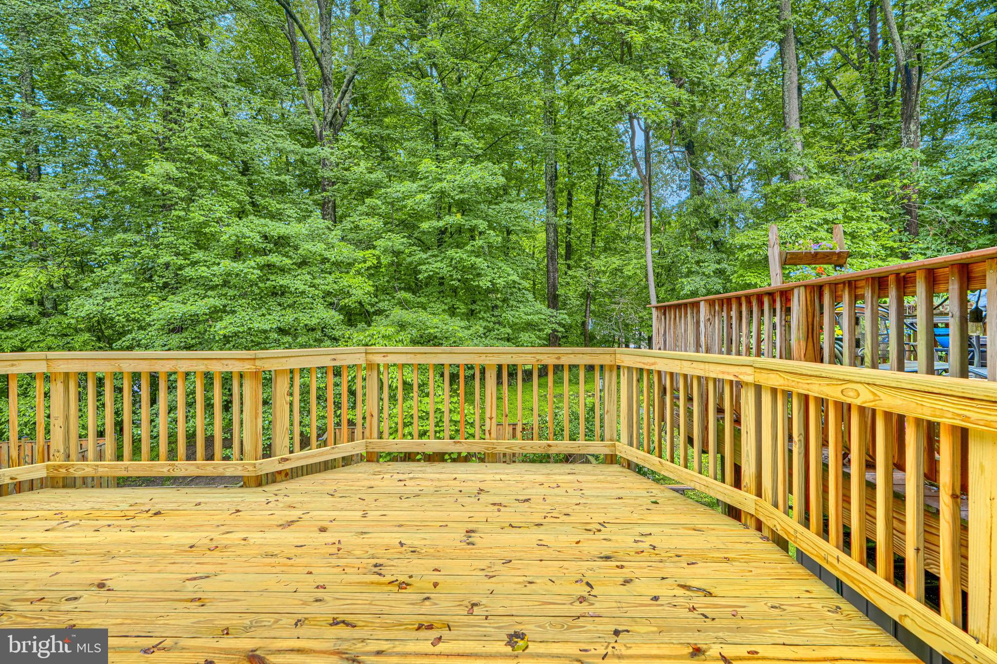 9 Long Green Court Silver Spring, MD 20906 - Photo 47 of 50
