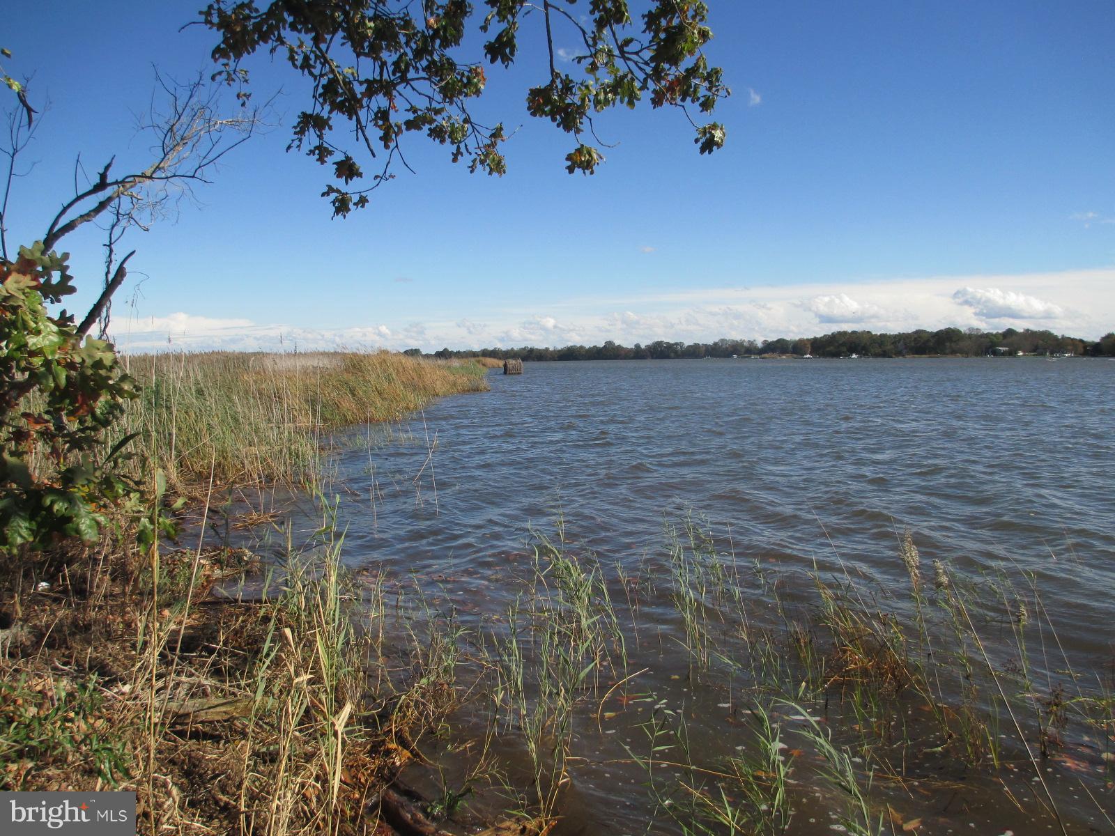 Exterior (General)Looking up the Chester River
