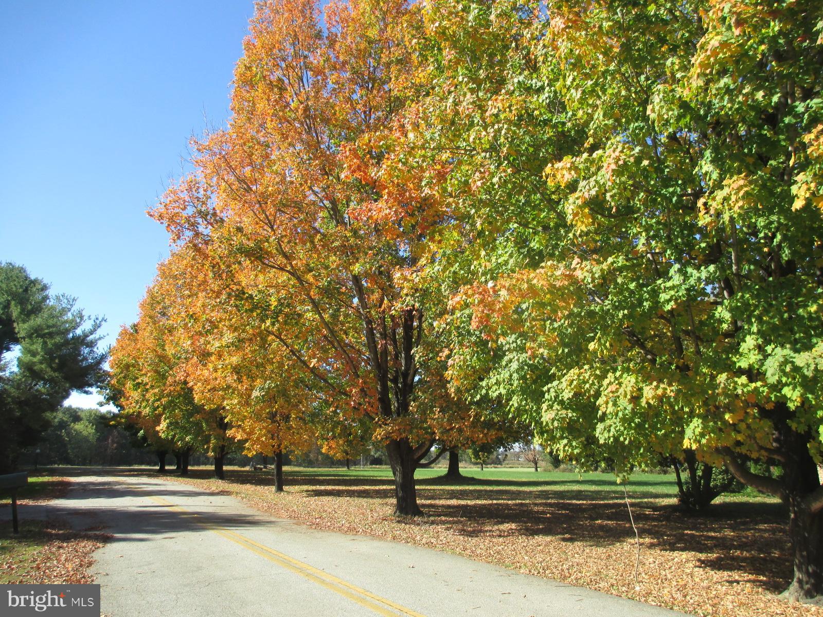 26910 Mallard Road Chestertown, MD 21620 - Photo 23 of 27 View down the street