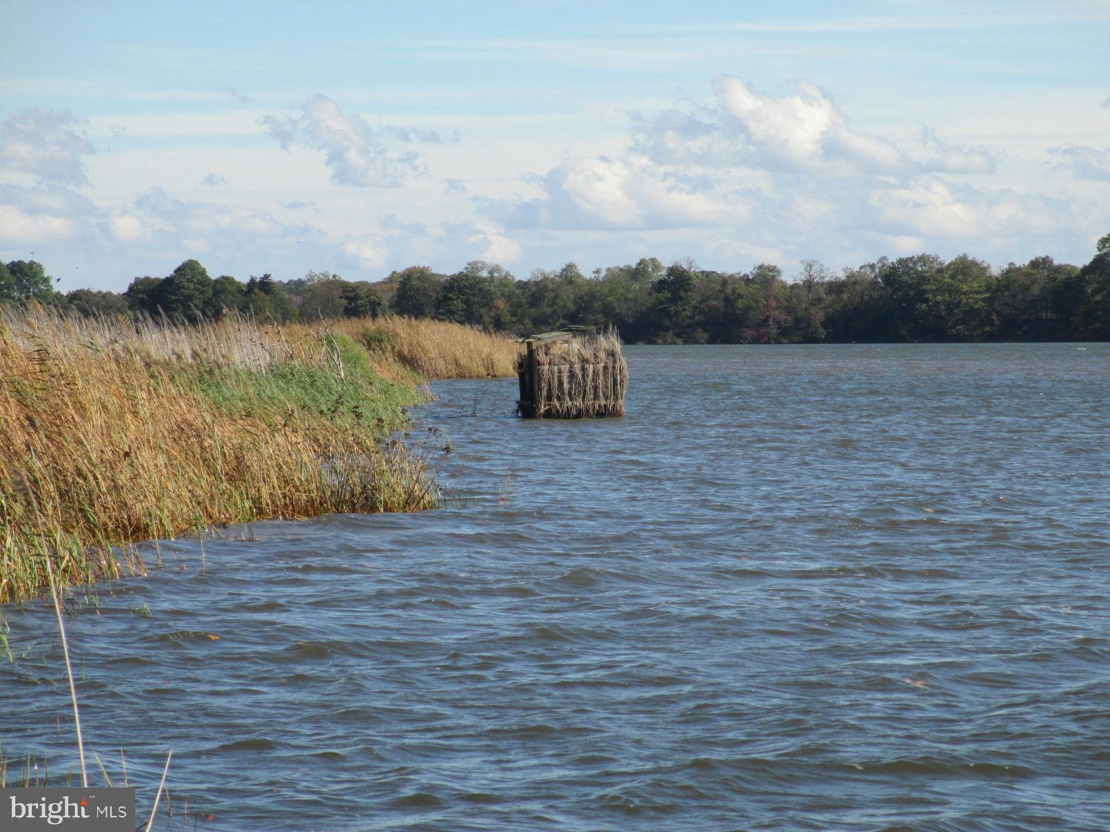Exterior (General) Very high tide