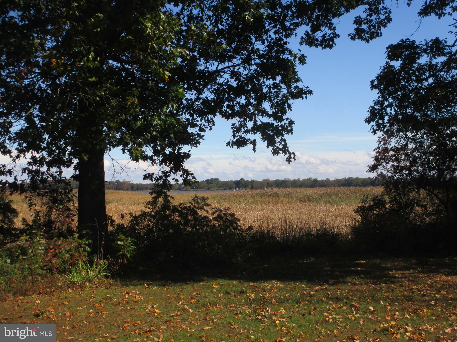 Exterior (General) View over marsh