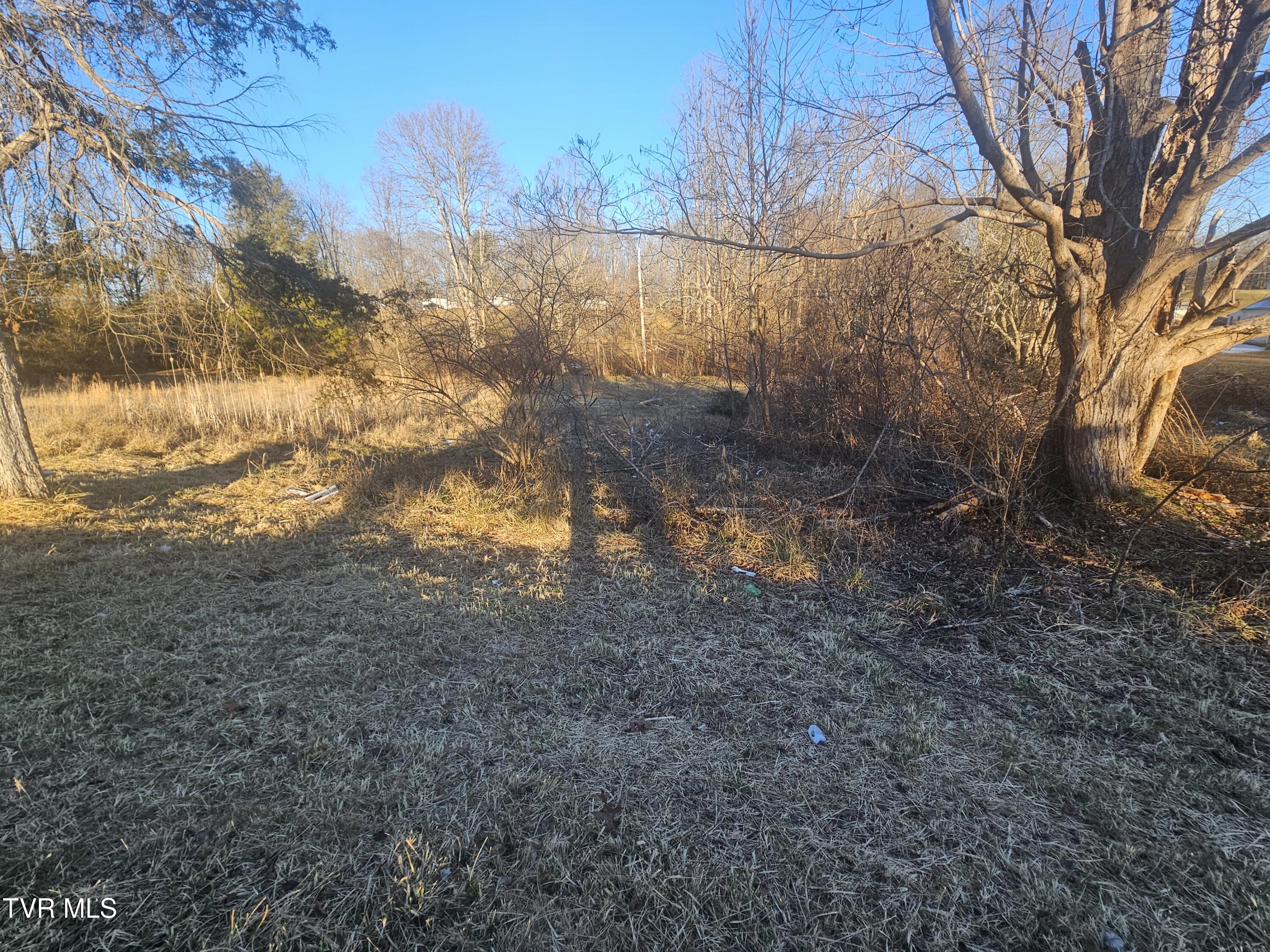 2556 Dungannon Road Coeburn, VA 24230 - Photo 3 of 11 20260118_164933