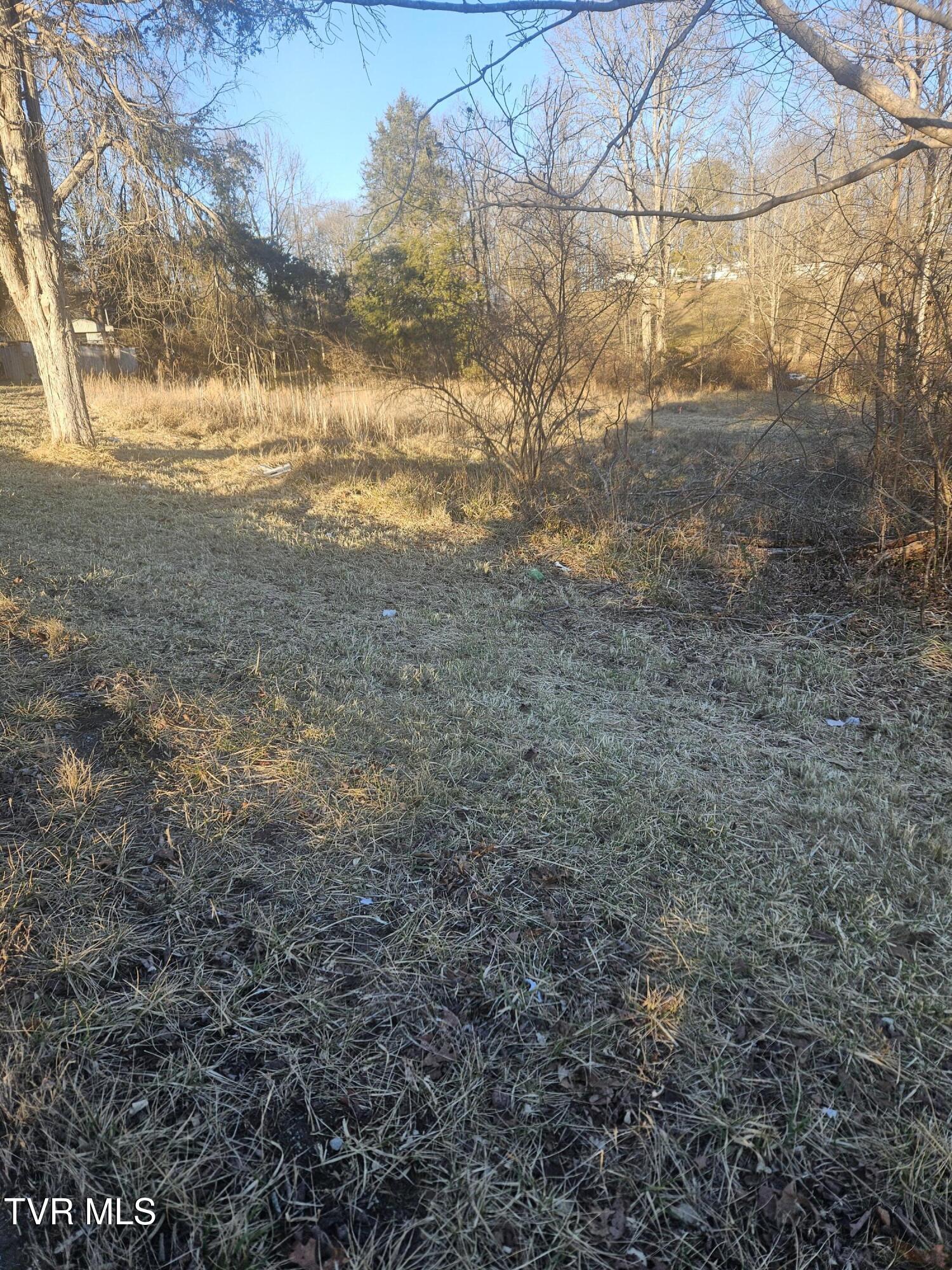 2556 Dungannon Road Coeburn, VA 24230 - Photo 5 of 11 20260118_164831