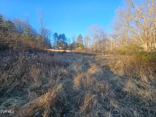 $27,734 | 2556 Dungannon Road, Coeburn, VA 24230