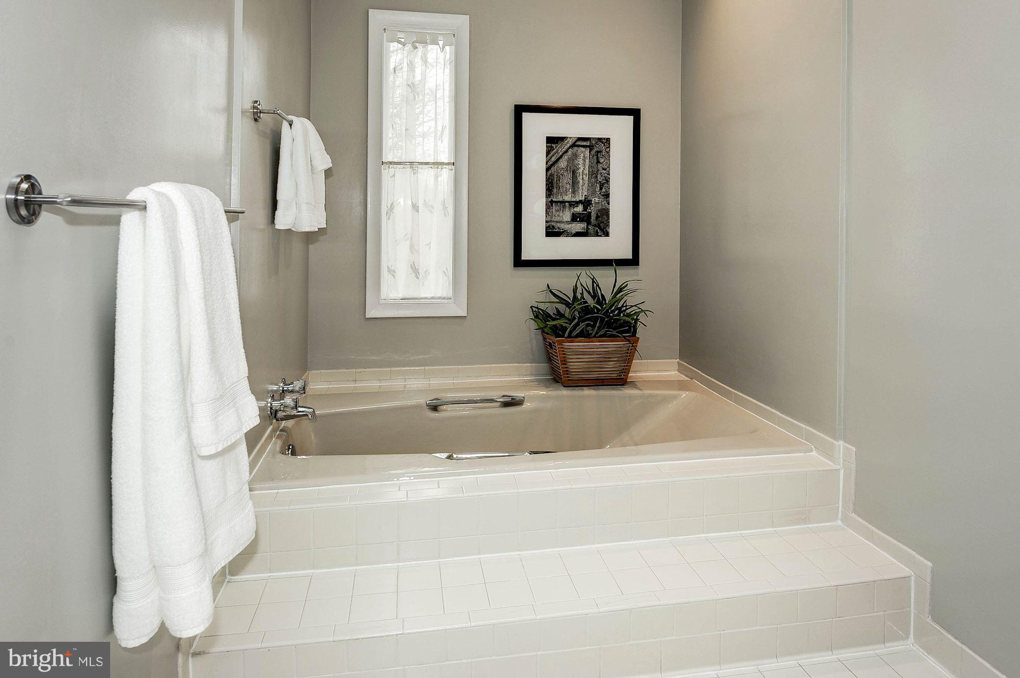 7327 Hooking Road McLean, VA 22101 - Photo 17 of 30 Bath (Master)