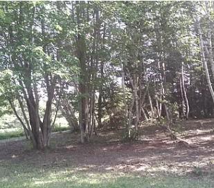 1780 Hamlin Road Van Buren, ME 04785 - Photo 46 of 61 Screen Shot 2020-08-09 at 8.34.39 PM