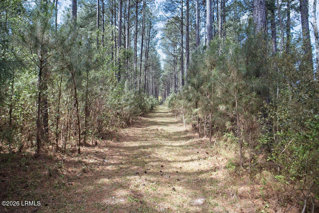1342 Thomas Hamilton Road Brunson, SC 29911 - Photo 45 of 46 8I1A4728