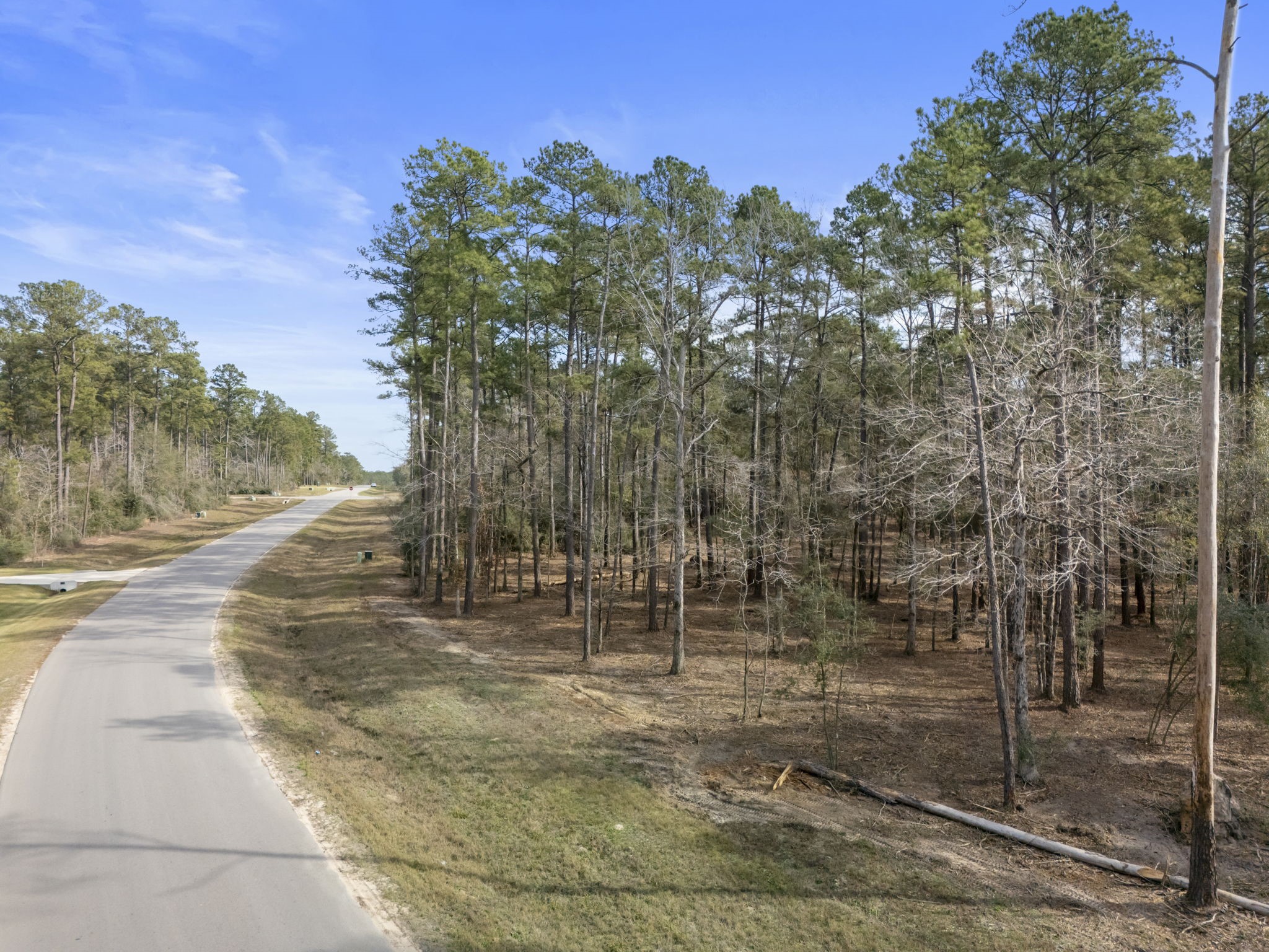 15880 Four Hls Road Willis, TX 77378 - Photo 4 of 25
