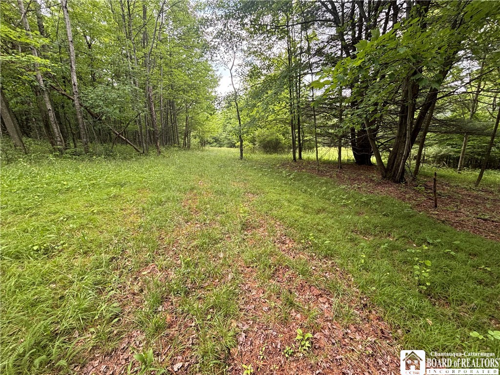 1471 Loomis Road Rexville, NY 14877 - Photo 32 of 50