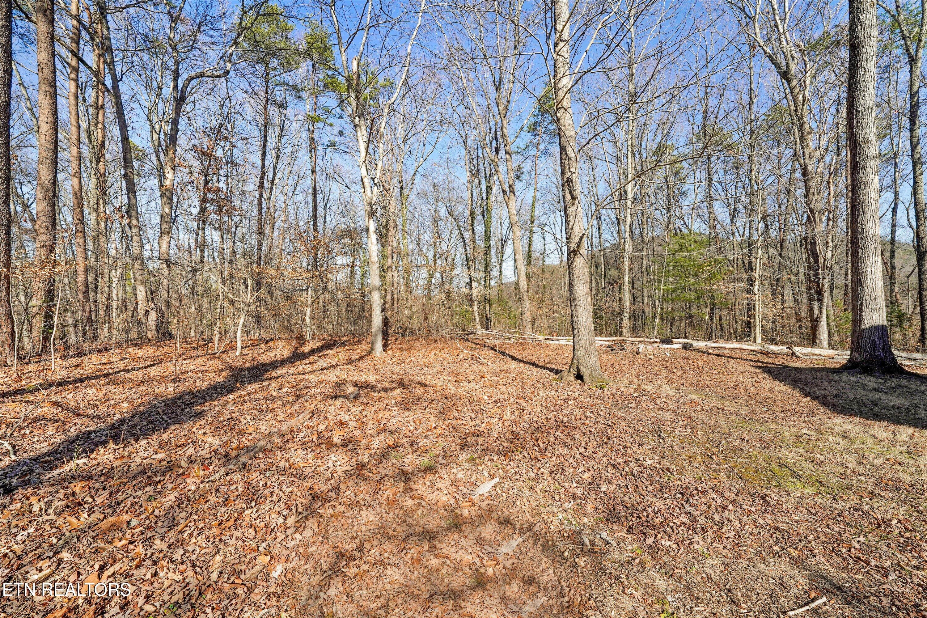 05-Charles Young Rd01