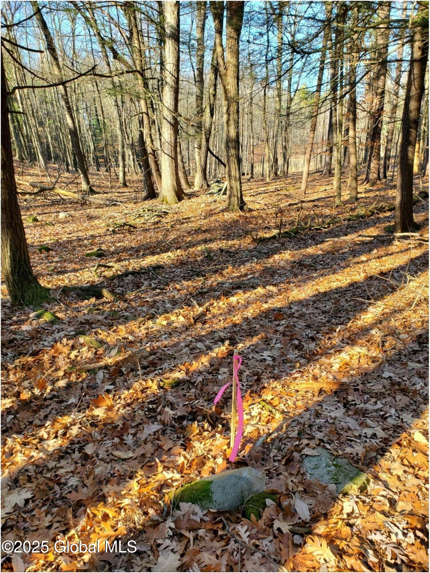 L25 Fischer Road Kinderhook, NY 12106 - Photo 13 of 30 LOOKING NW ON THE PROPERTY LINE