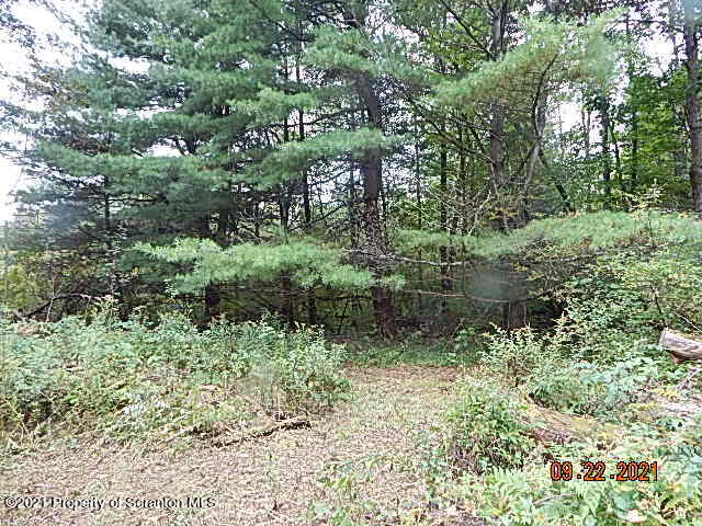 Cascade Valley Road Susquehanna, PA 18847 - Photo 5 of 13 DSCN9905