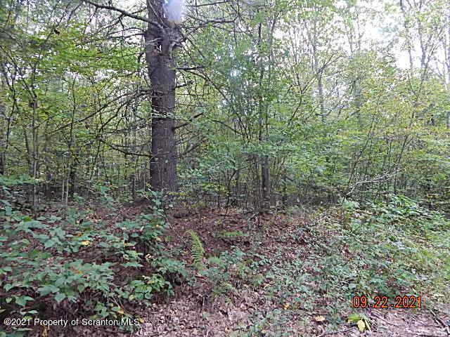 Cascade Valley Road Susquehanna, PA 18847 - Photo 10 of 13 DSCN9910