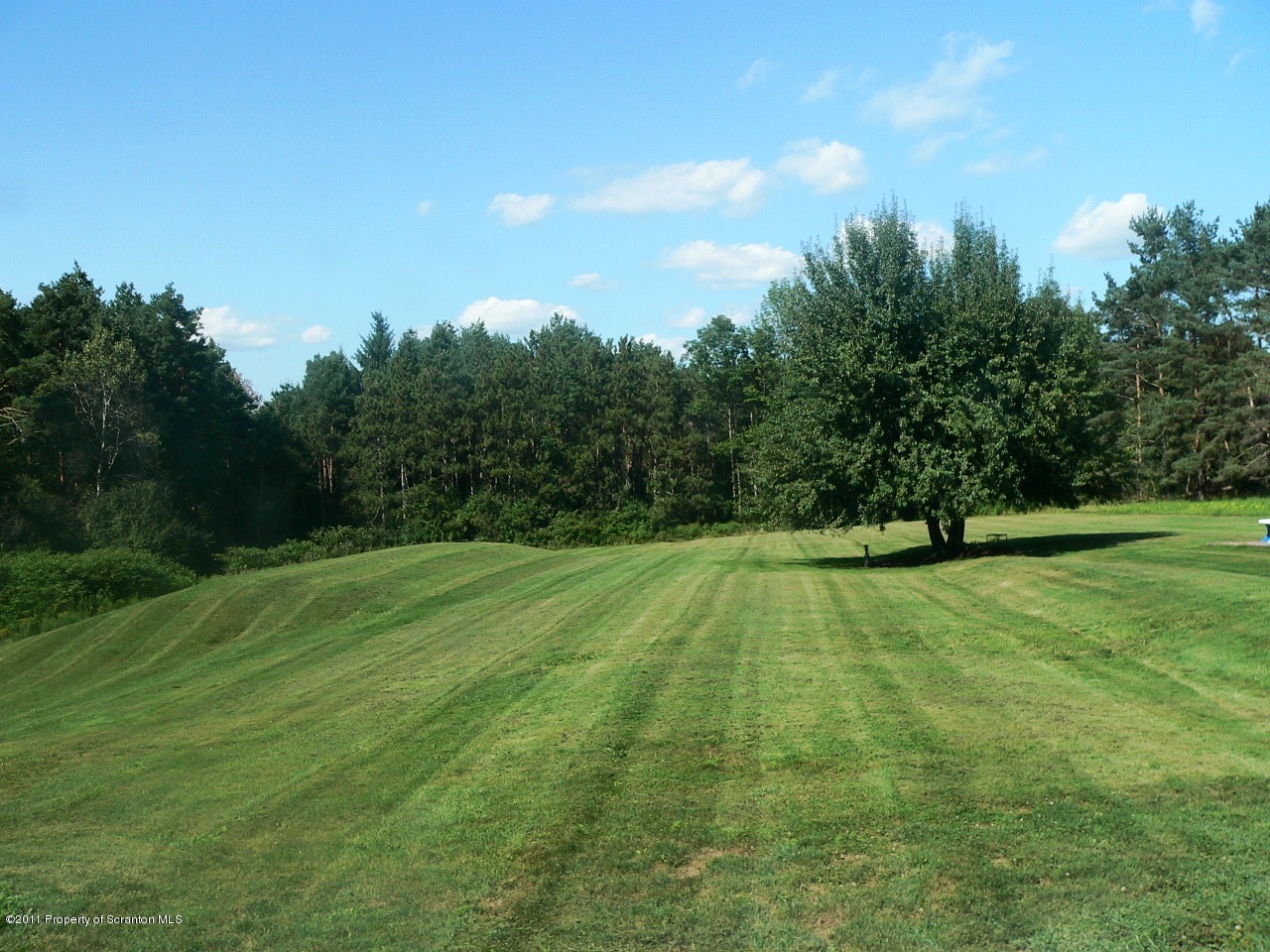 193 Northup Road Clarks Summit, PA 18411 - Photo 7 of 24 Gallery Image 7