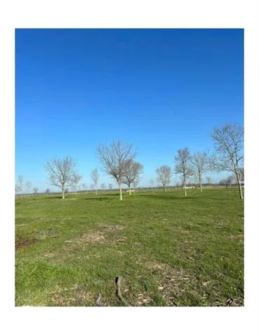 a view of a big yard with a house