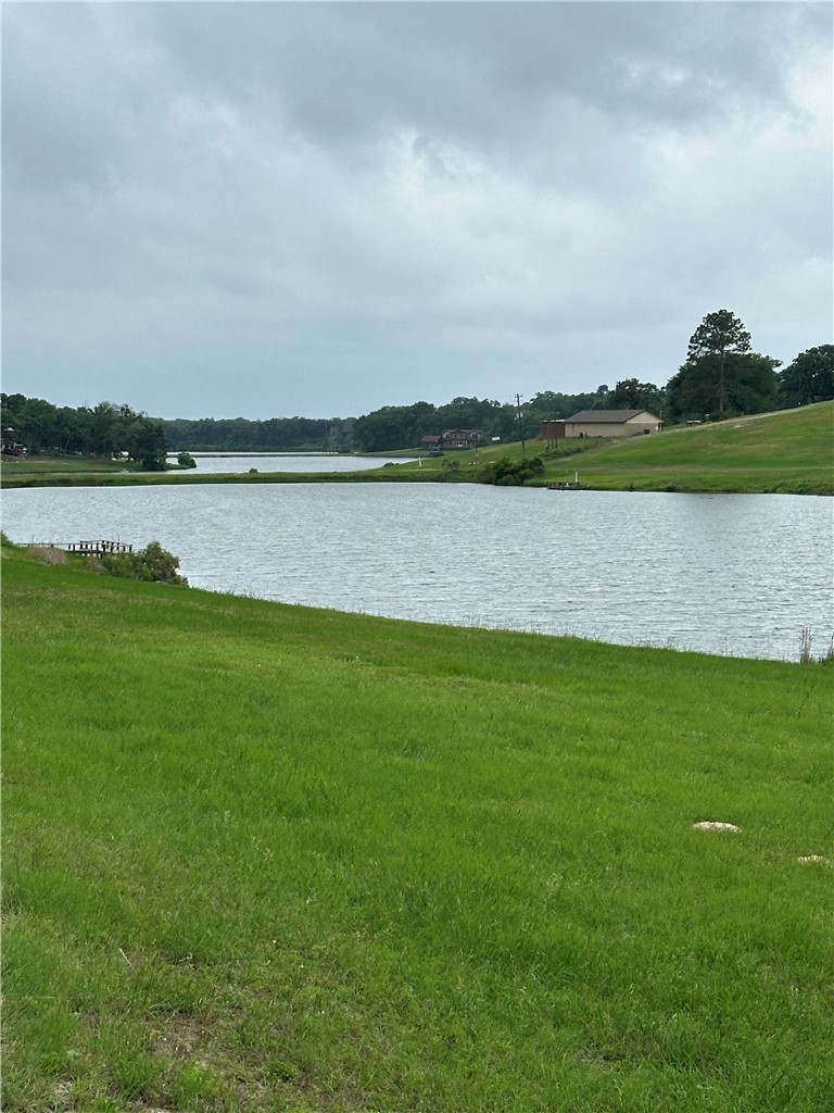 31 Ranch Road Drive Normangee, TX 77871 - Photo 6 of 7 a view of lake with green field
