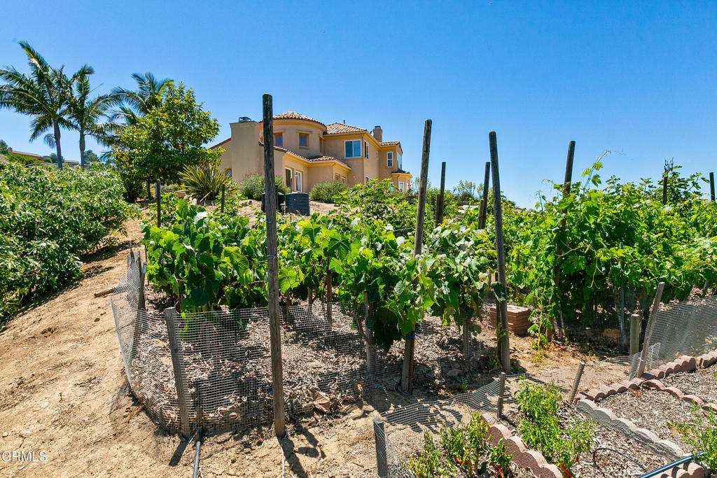 12127 Presilla Road Camarillo, CA 93012 - Photo 3 of 69