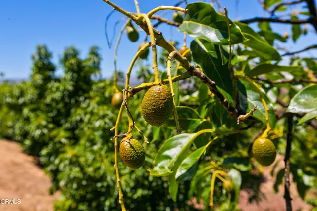 $1,999,990 | 12127 Presilla Road, Camarillo, CA 93012