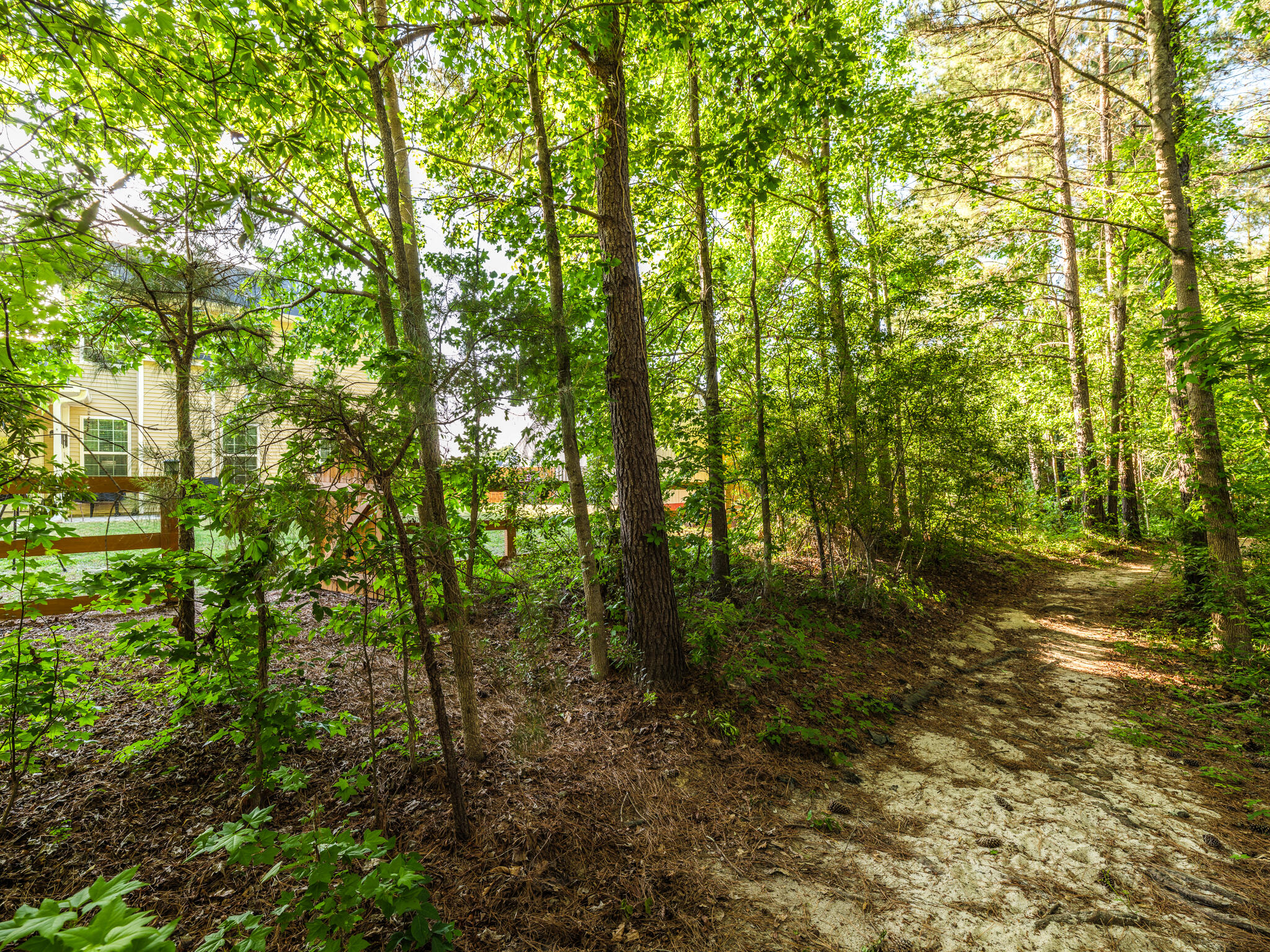 8035 Mckayla Road Summerville, SC 29483 - Photo 46 of 51 8035 McKayla-45