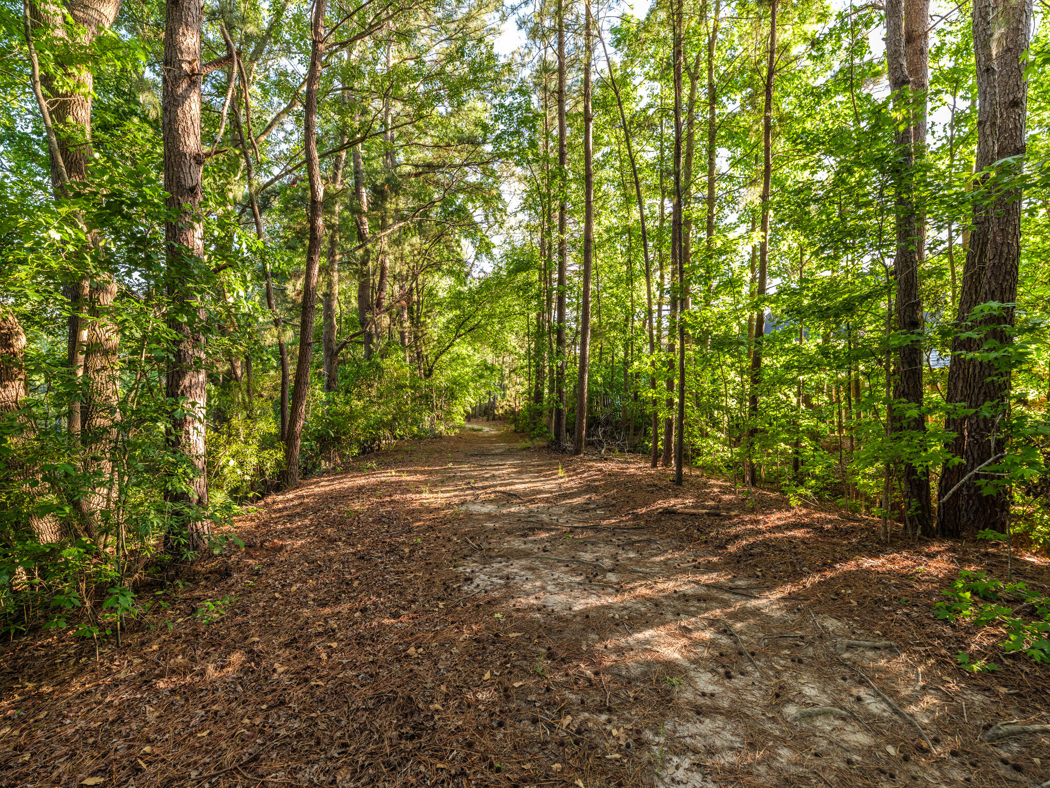 8035 Mckayla Road Summerville, SC 29483 - Photo 47 of 51 8035 McKayla-44