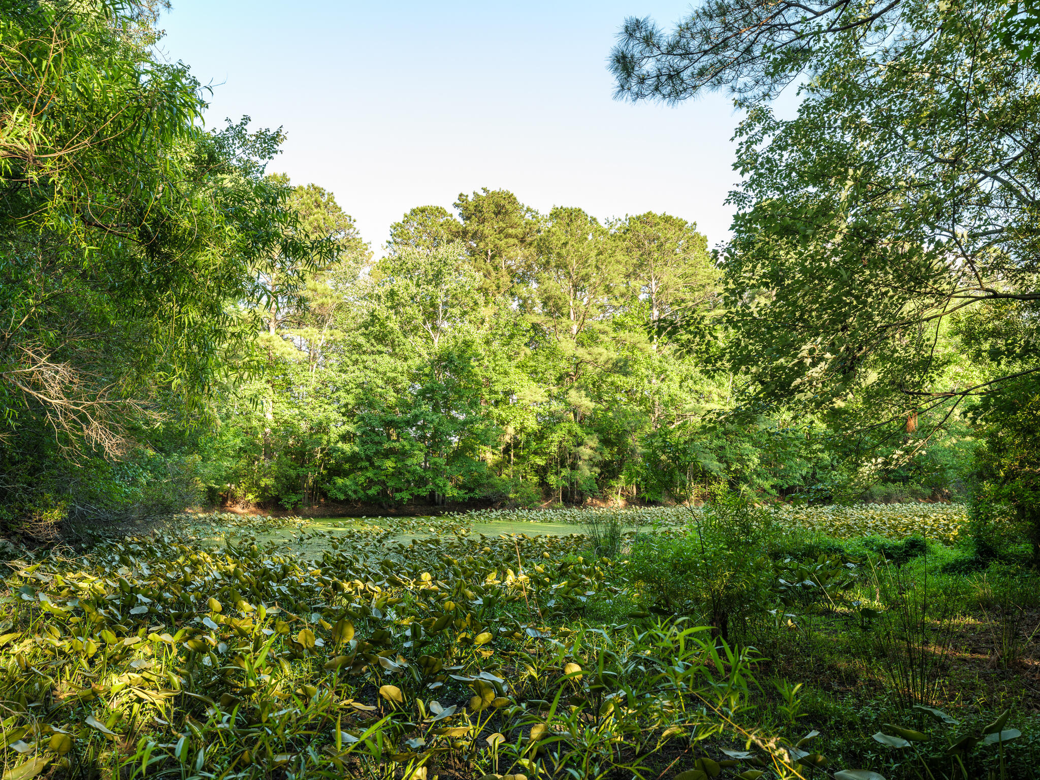 8035 Mckayla Road Summerville, SC 29483 - Photo 48 of 51 8035 McKayla-43