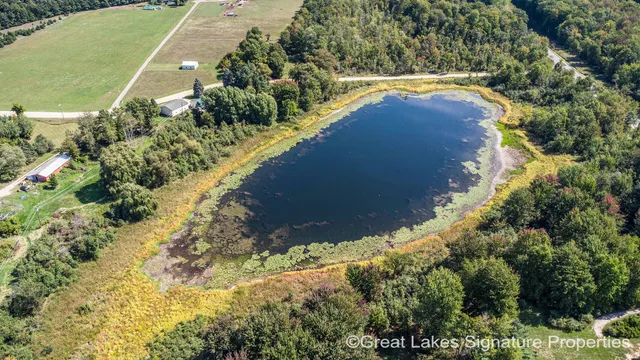 $750,000 | Vl West Vl W Stanton Road, Trufant, MI 49347