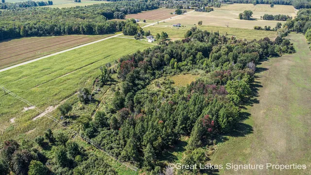 $750,000 | Vl West Vl W Stanton Road, Trufant, MI 49347