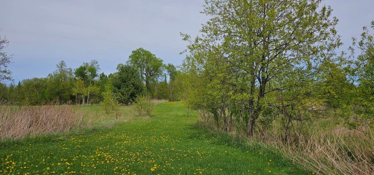 4103 Weber Road Mercer, WI 54547 - Photo 23 of 29 Gallery Image 23