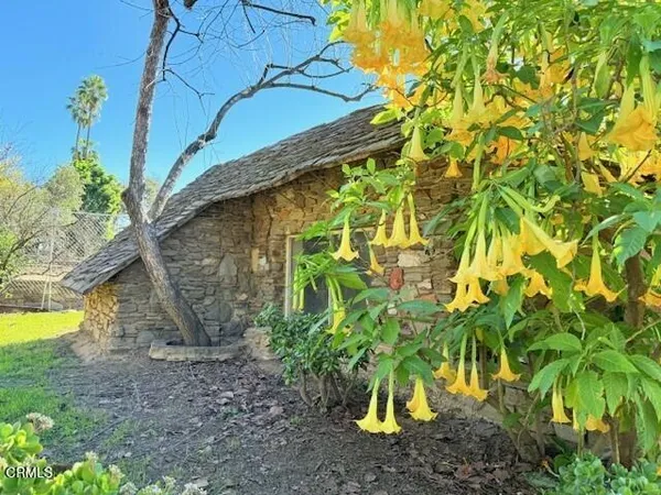 a view of a backyard of the house