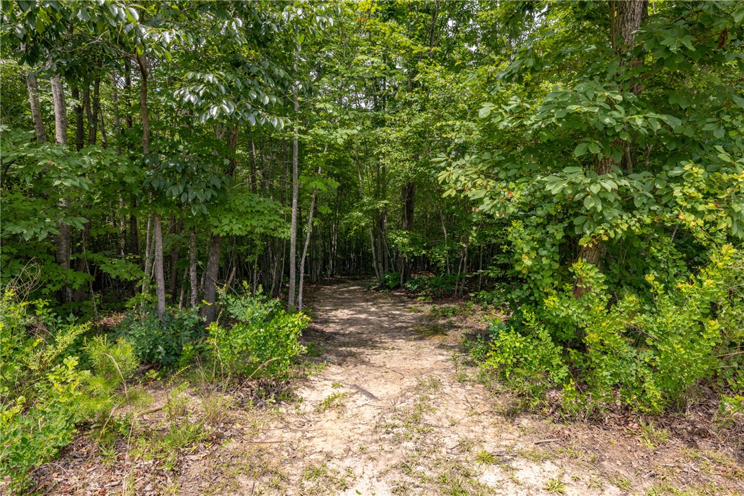 152 Big Ridge Road Westminster, SC 29693 - Photo 13 of 46