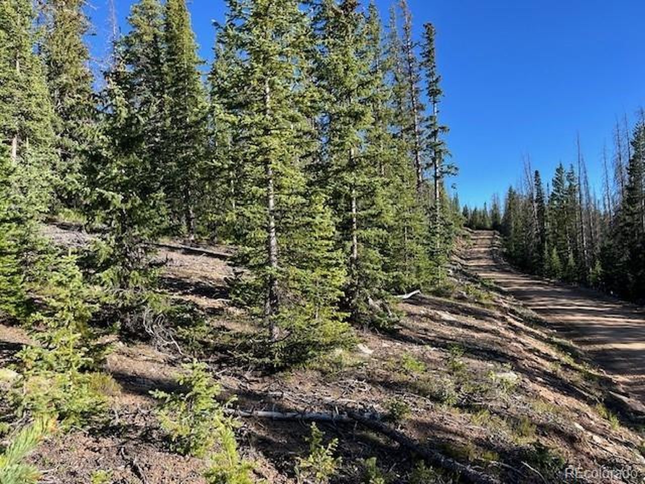 6525 Schlueter Road San Luis, CO 81152 - Photo 1 of 21 Looking up Schlueter