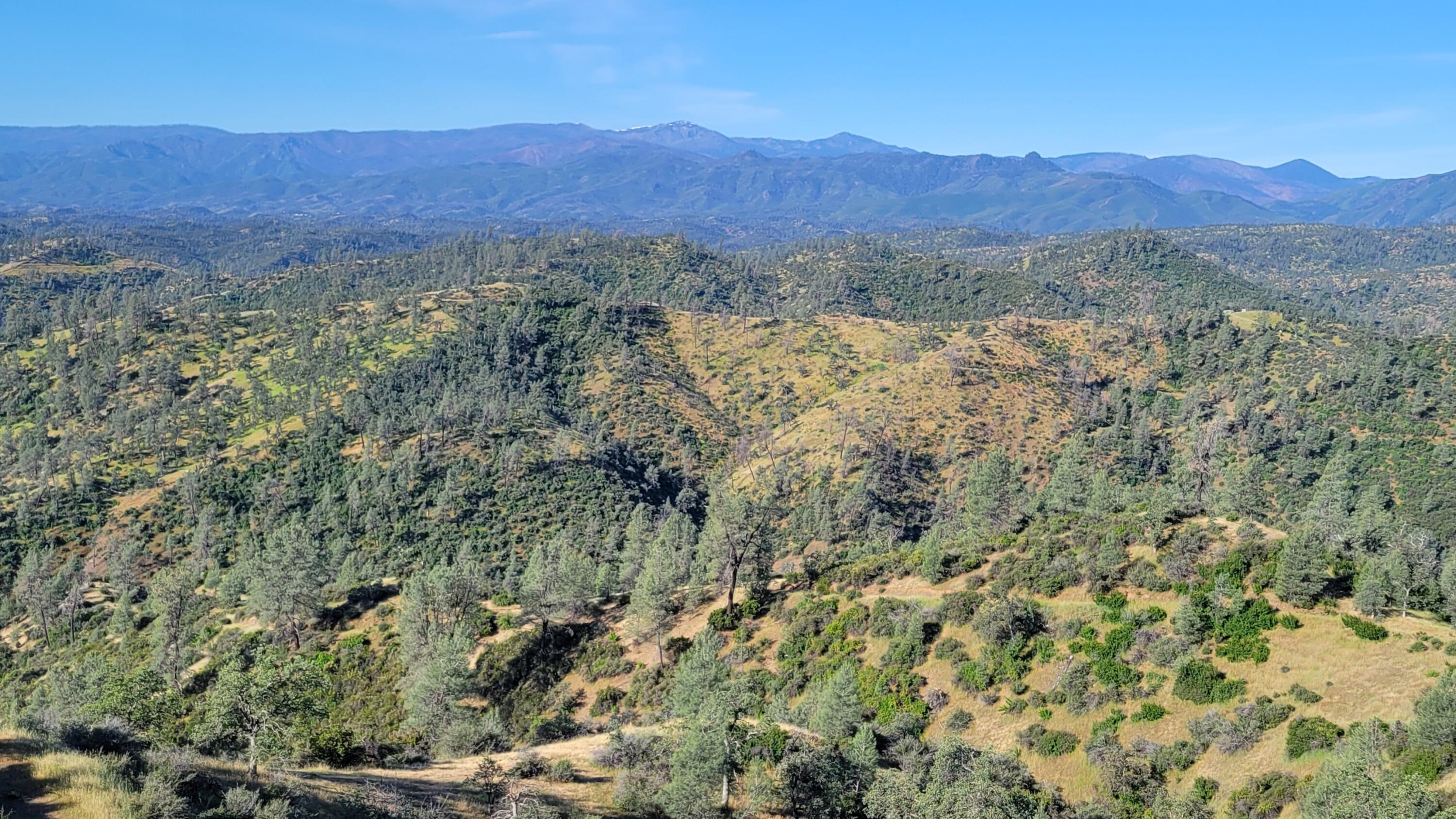 Lot 229 Yolla Bolly Road Igo, CA 96047 - Photo 6 of 66 20260510_084226