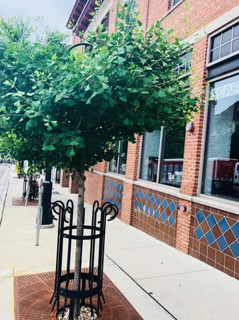 $2,800 | 322 North Henry Street, Unit 202, Madison, WI 53703