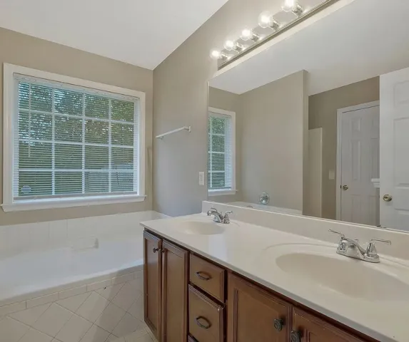 a bathroom with a sink double vanity and a bathtub