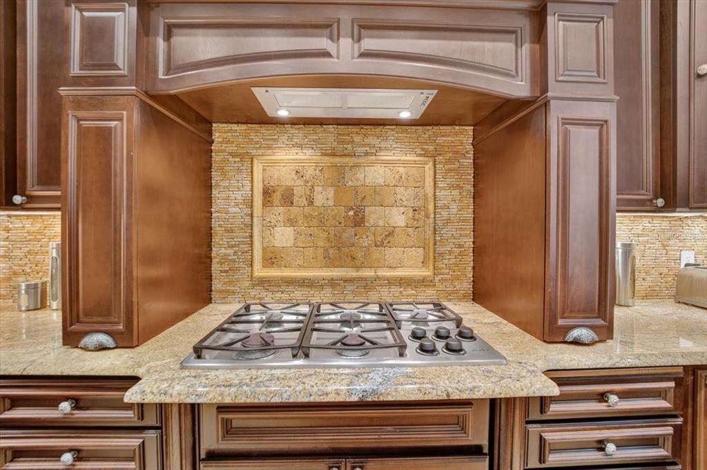 15707 Cochester Road Tampa, FL 33647 - Photo 14 of 95