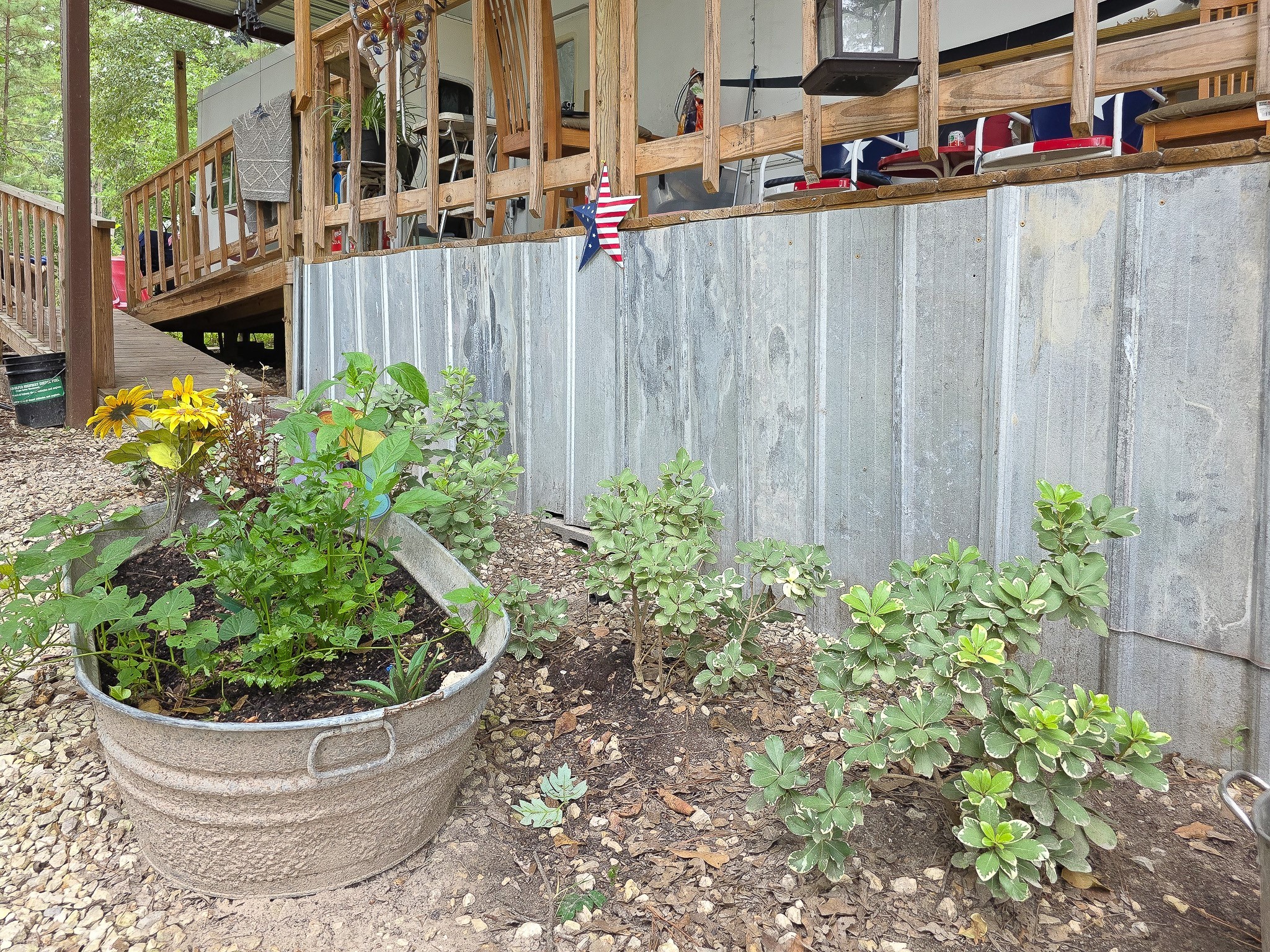 361 Medina Drive Trinity, TX 75862 - Photo 11 of 14 a view of outdoor space and yard