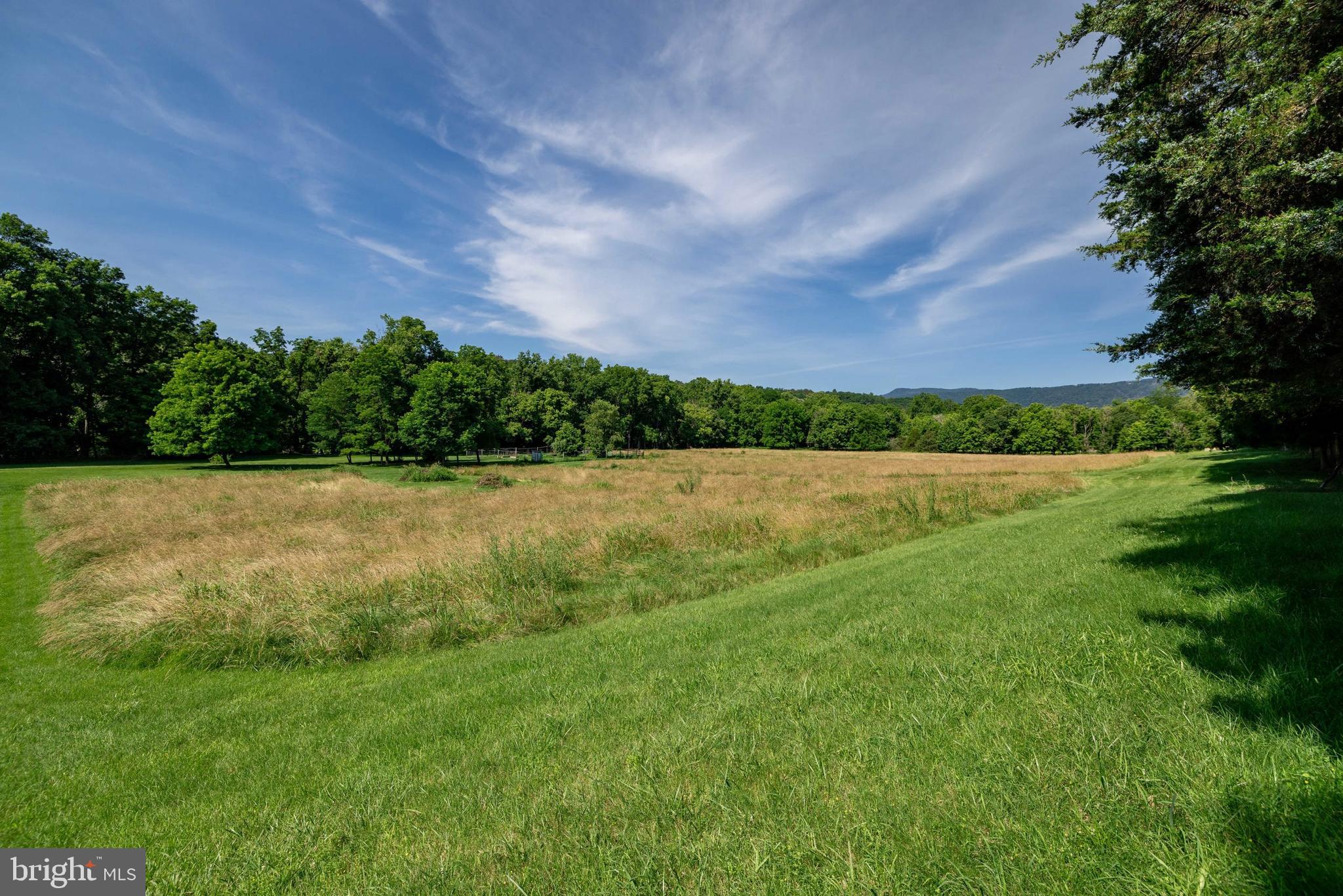 360 Lazy River East Road Luray, VA 22835 - Photo 115 of 145