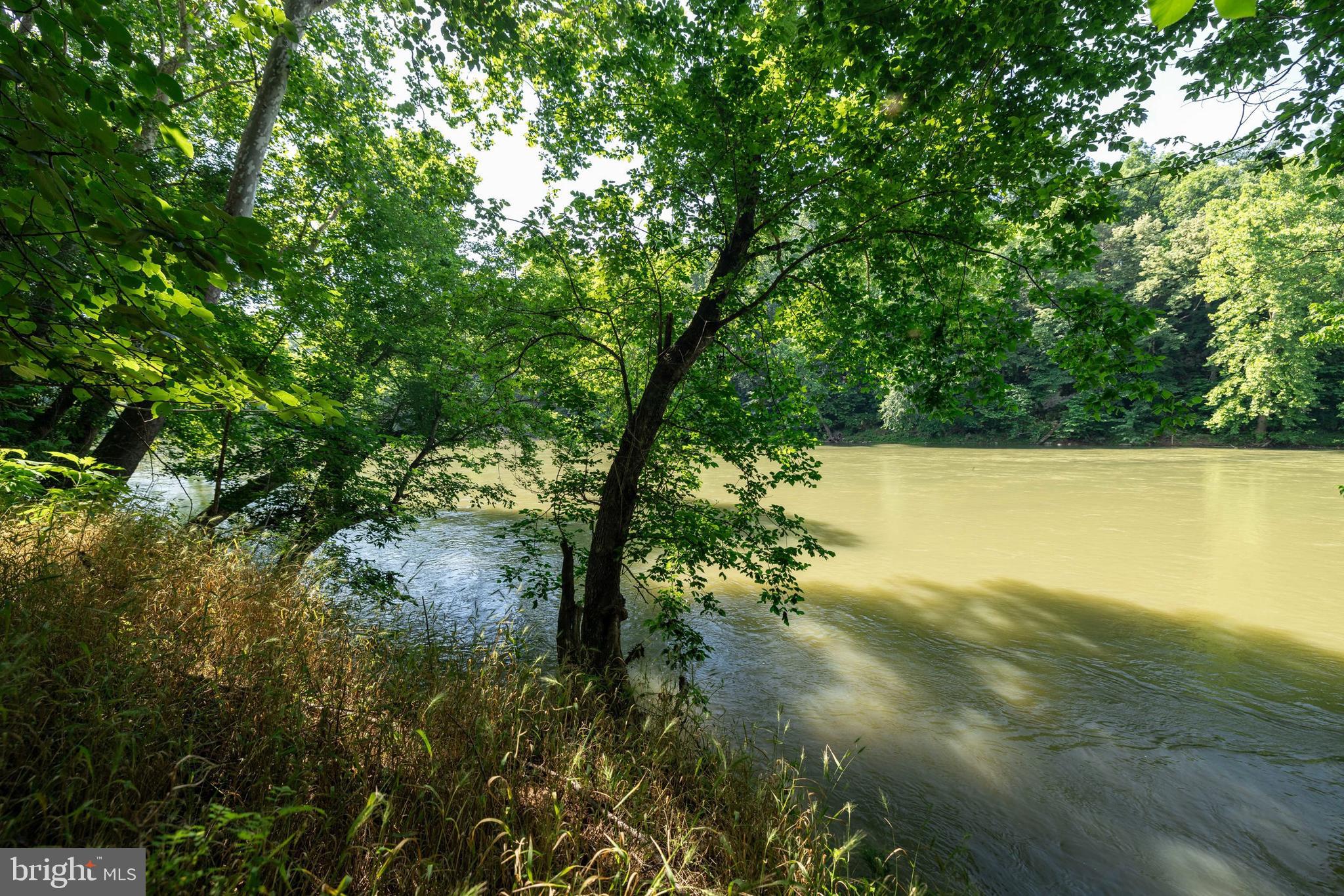 360 Lazy River East Road Luray, VA 22835 - Photo 124 of 145