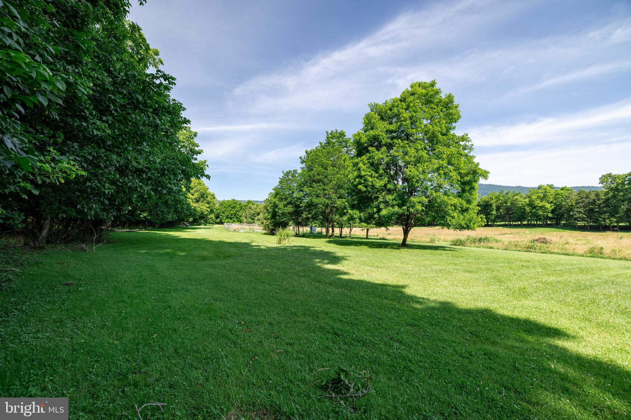 360 Lazy River East Road Luray, VA 22835 - Photo 125 of 145
