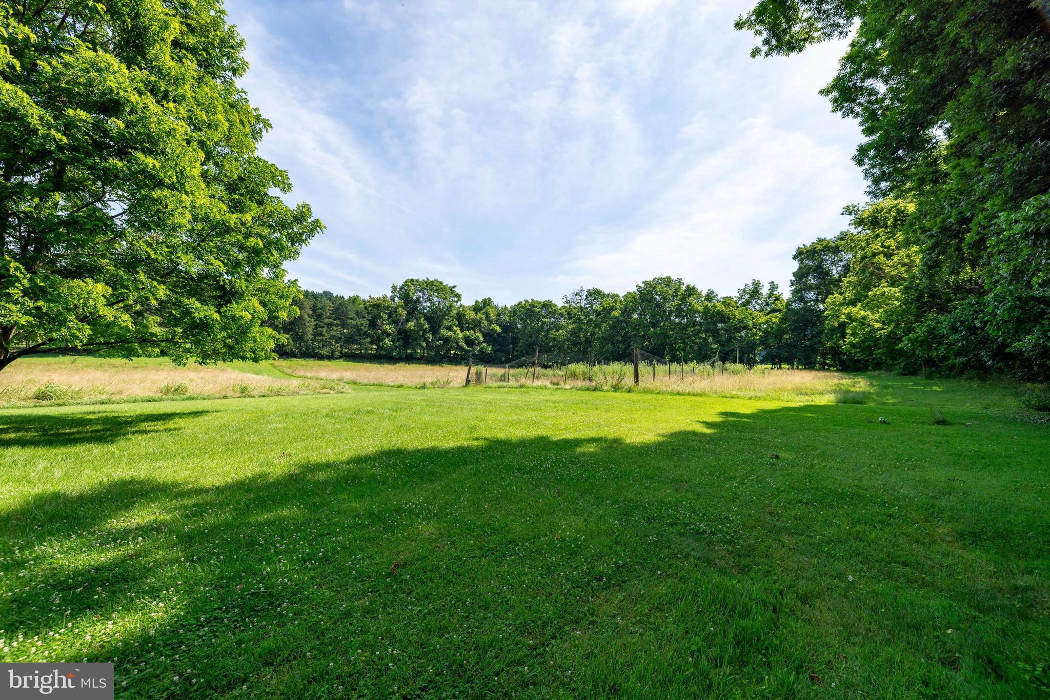 360 Lazy River East Road Luray, VA 22835 - Photo 126 of 145
