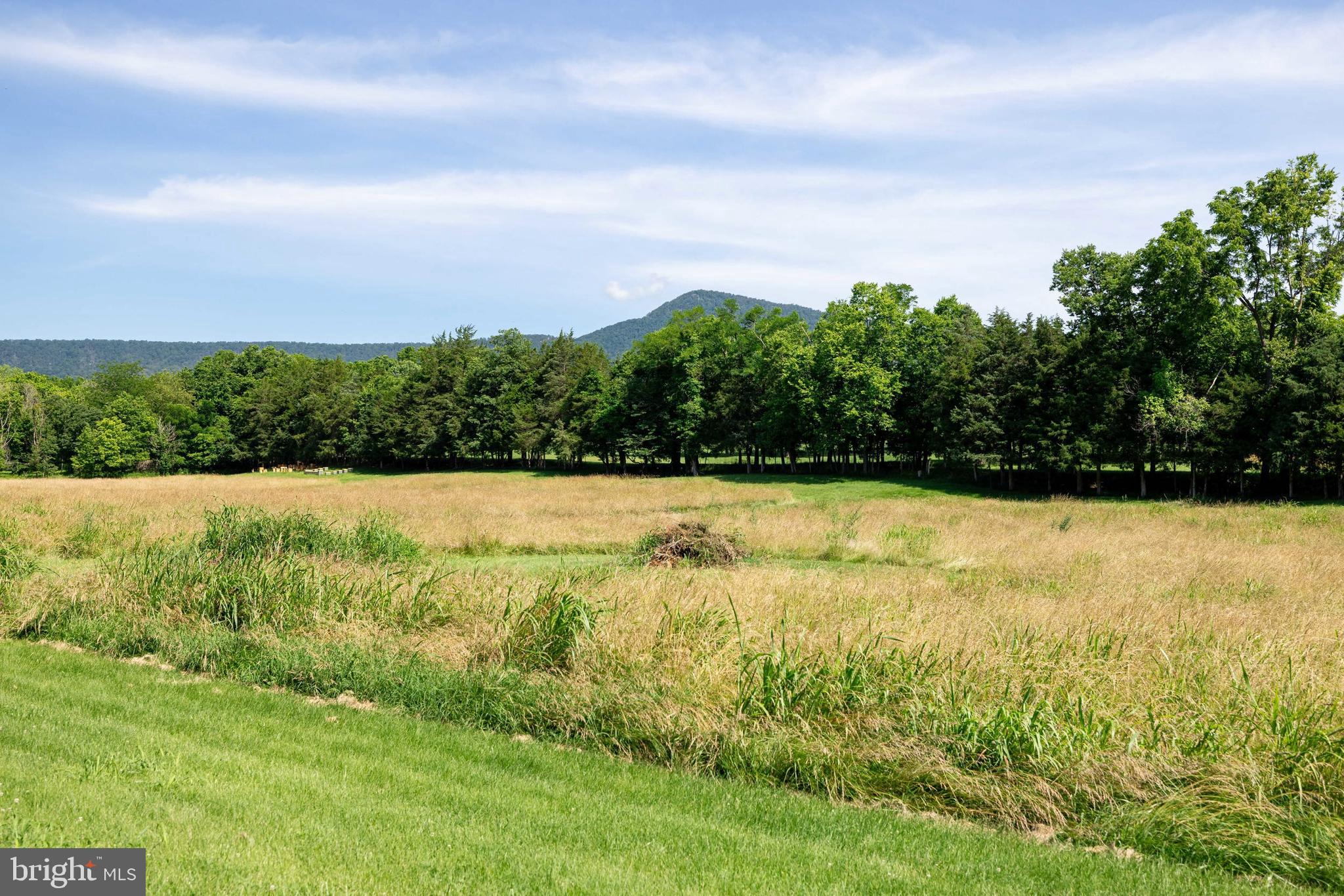 360 Lazy River East Road Luray, VA 22835 - Photo 128 of 145