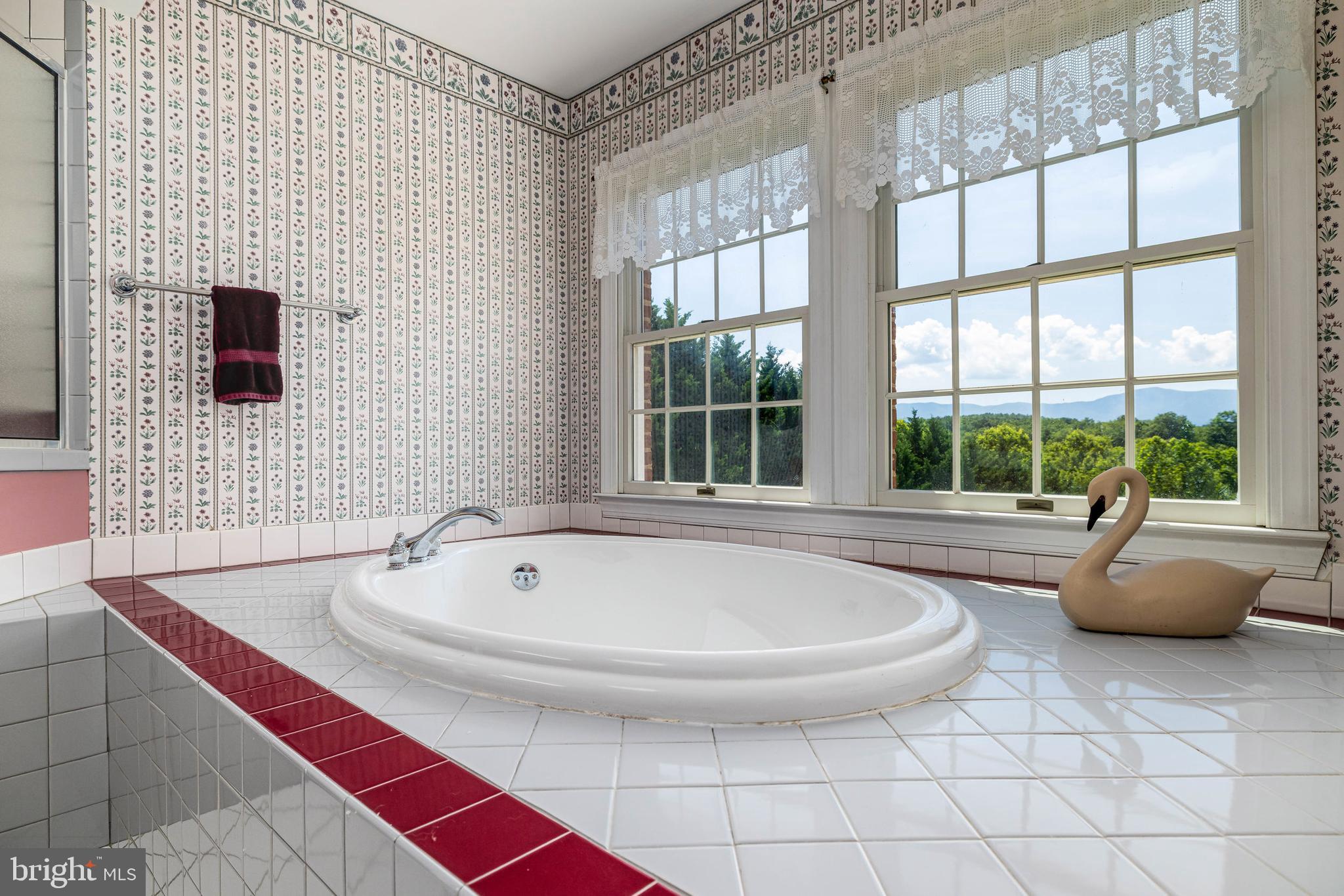 360 Lazy River East Road Luray, VA 22835 - Photo 50 of 145